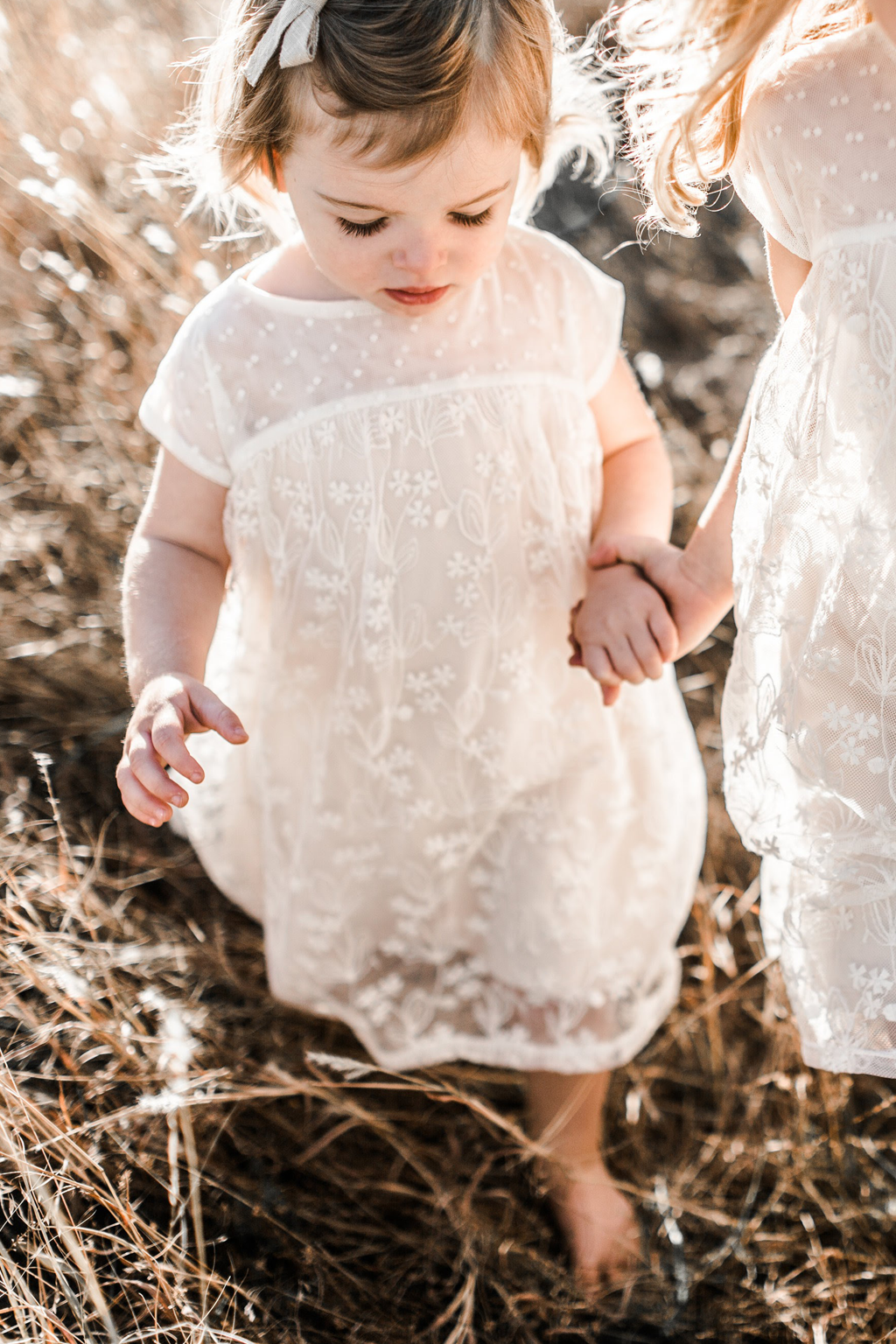 Enchanted Lace Dress