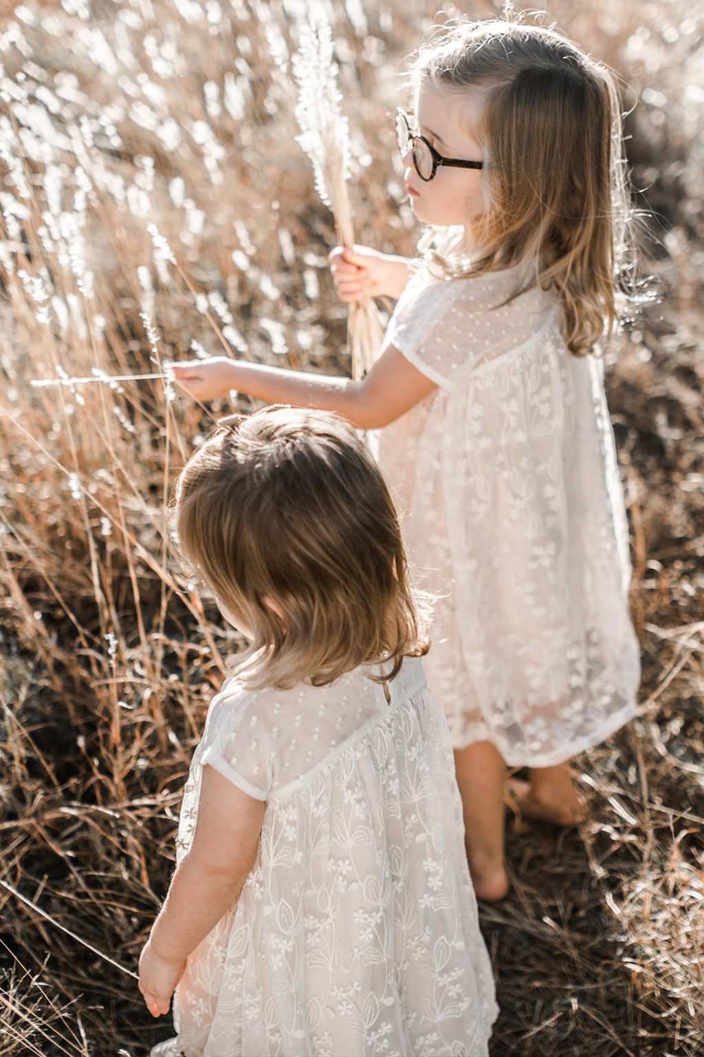 Enchanted Lace Dress